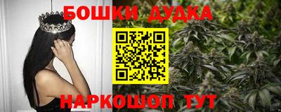 индика Конаково