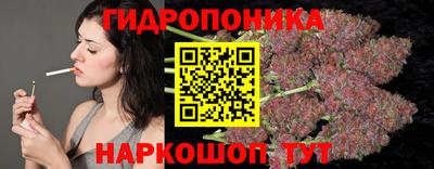 индика Конаково